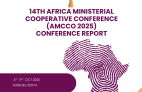 14TH AMCCO REPORT